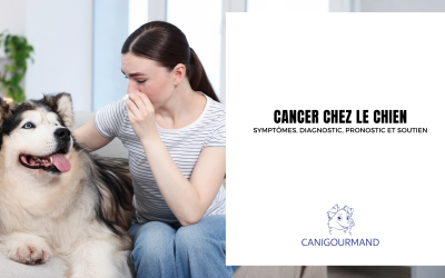 Cancer chien : symptômes, diagnostic vétérinaire, pronostic et soutien naturel