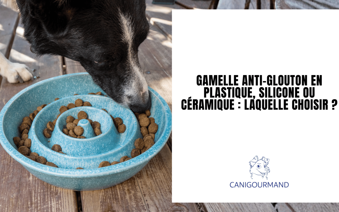 quelle matiere gamelle chien