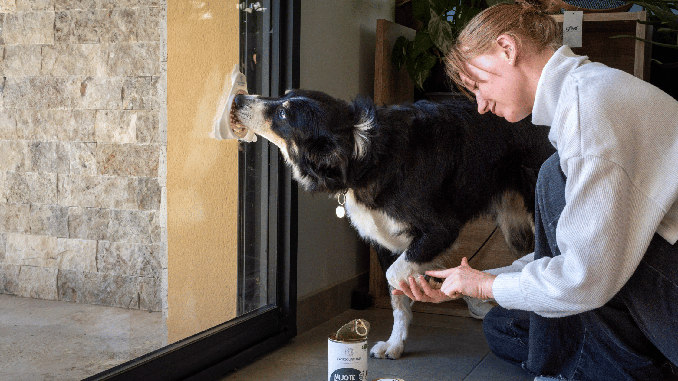 medical training chien