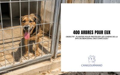 400 arbres pour Eux : Opération spéciale pour pour protéger les chiens de la SPA de Bergerac