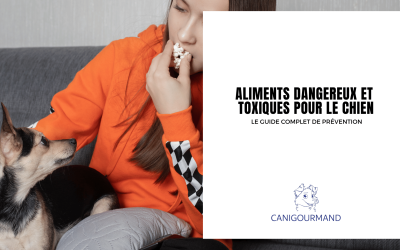 Aliments dangereux et toxiques pour le chien : le guide complet de prévention