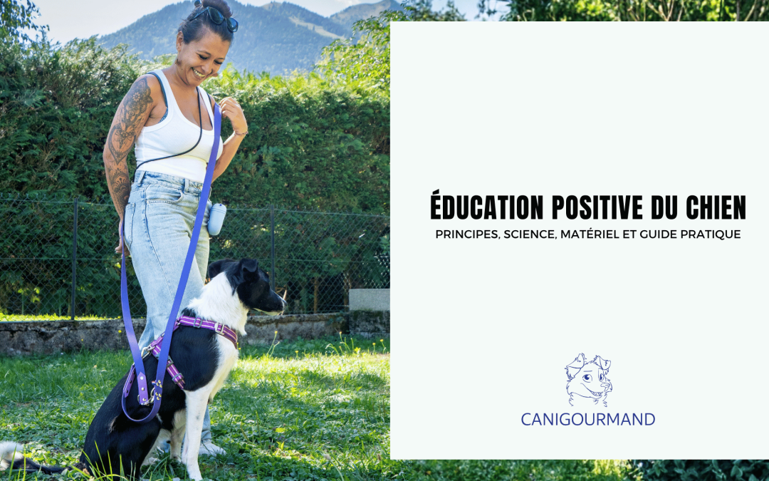 Education positive, c'est quoi ?