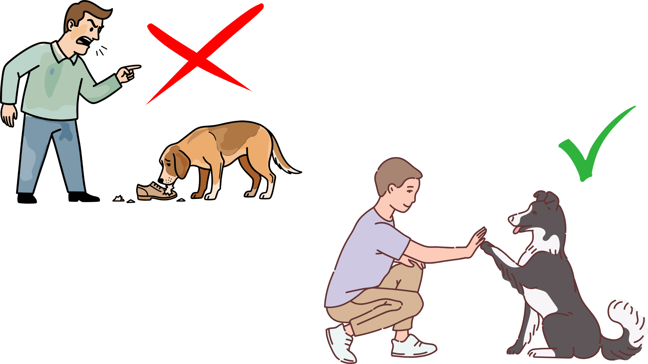 Pourquoi éduquer son chien de façon positive